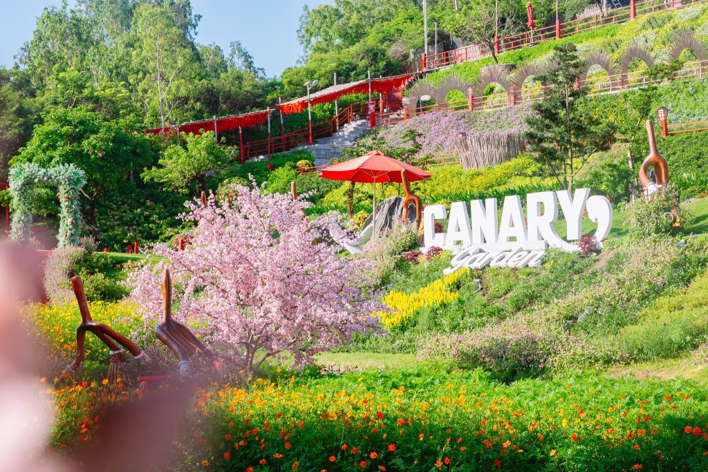 carany2-