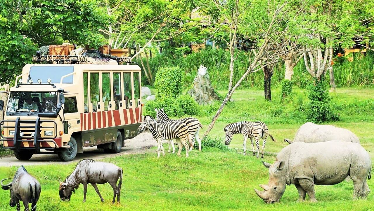 safari-quy-nhon-3