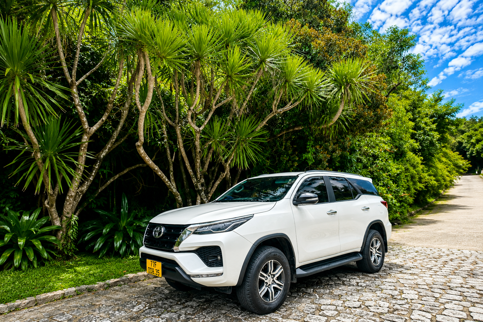 Vì sao nhiều du khách lựa chọn thuê xe từ sân bay Phù Cát?